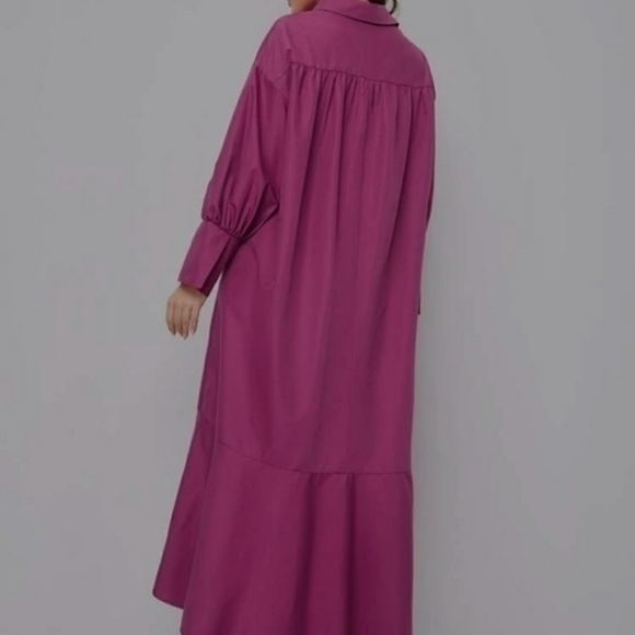 Shein Lantern Sleeve Asymmetrical Ruffle Hem Half Button Placket Dress - Picture 4 of 14